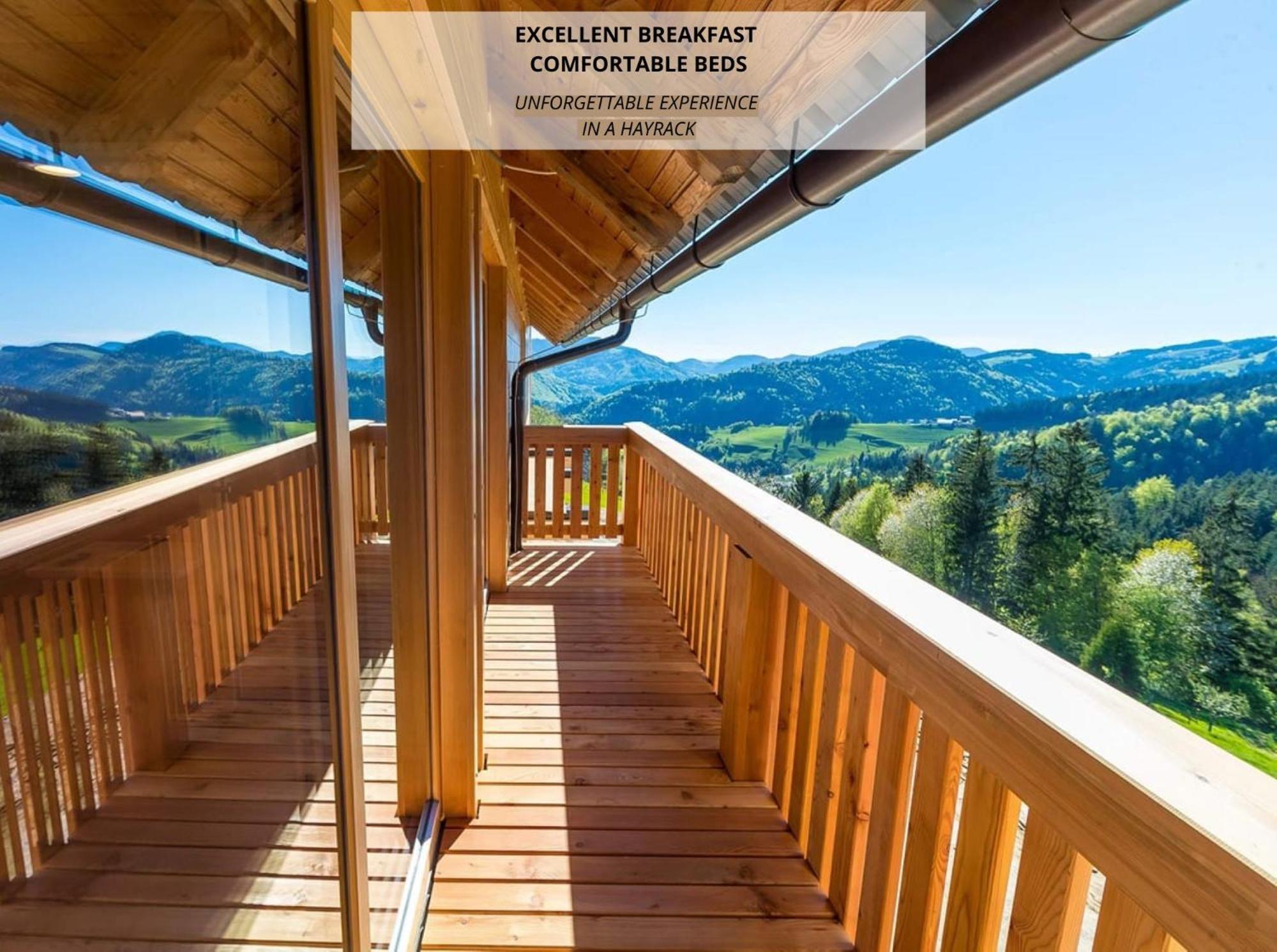 Apartmaji Na Kozolcu - Smogavc Zreče Exterior foto